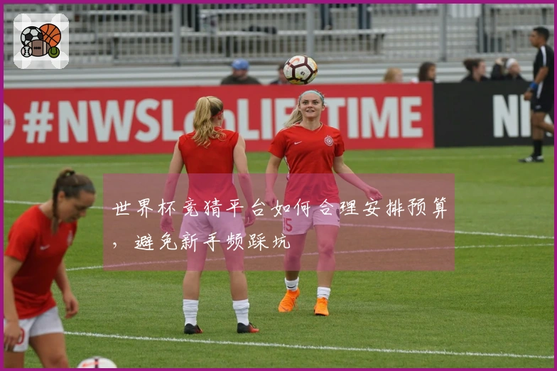 世界杯竞猜平台如何合理安排预算，避免新手频踩坑