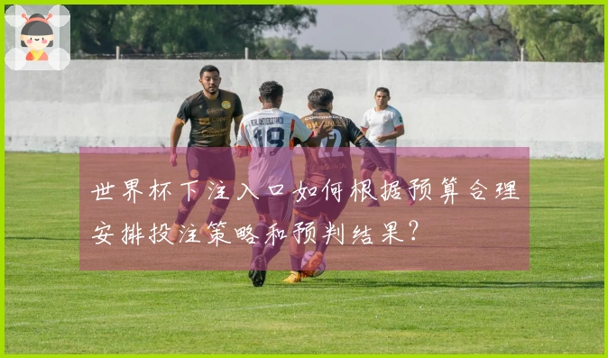 世界杯下注入口如何根据预算合理安排投注策略和预判结果?