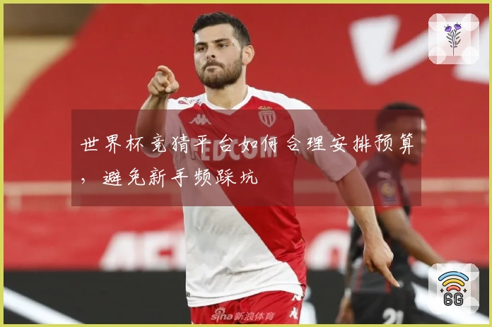 世界杯竞猜平台如何合理安排预算，避免新手频踩坑